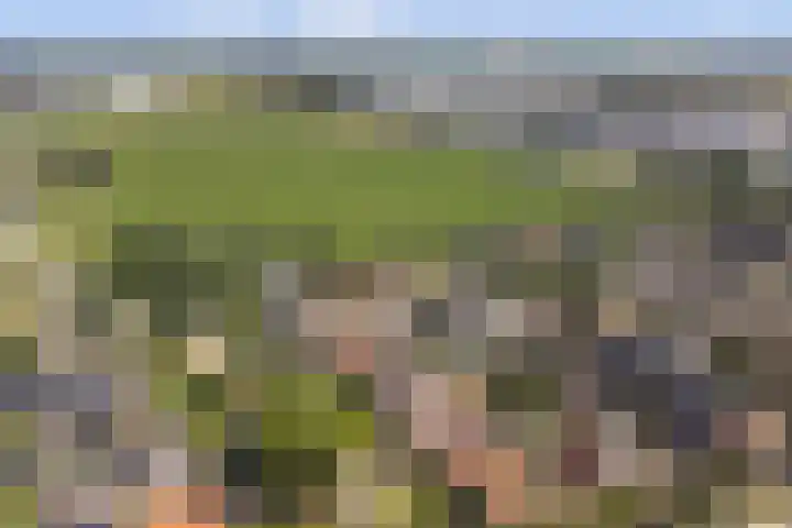 Nieuwestraat 72 Strijen thumbnail 52