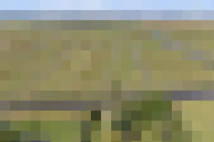 Nieuwestraat 72 Strijen thumbnail 53