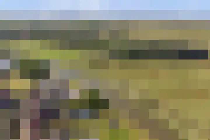 Nieuwestraat 72 Strijen thumbnail 54
