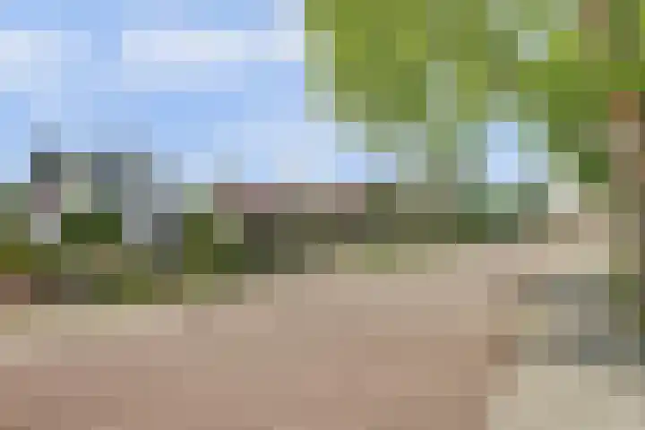 Nieuwestraat 72 Strijen thumbnail 8