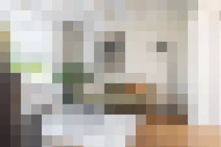 Nieuwestraat 76 Strijen thumbnail 10