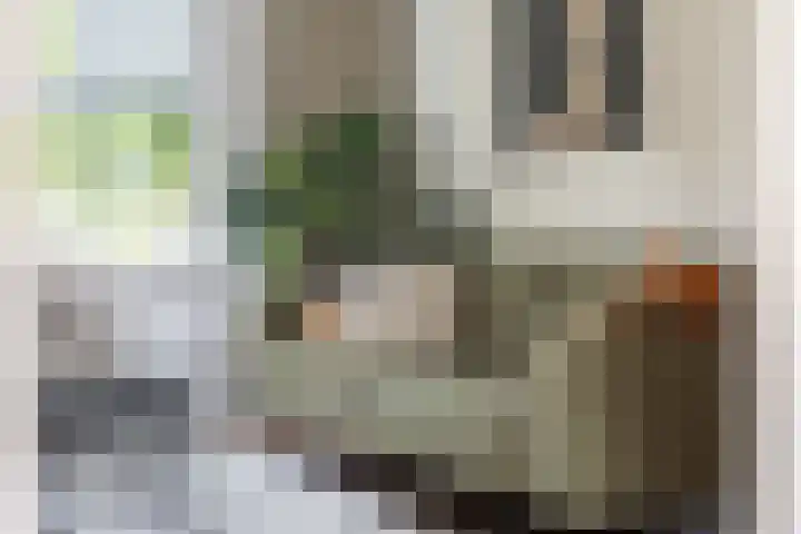 Nieuwestraat 76 Strijen thumbnail 12