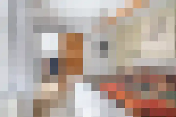 Nieuwestraat 76 Strijen thumbnail 38