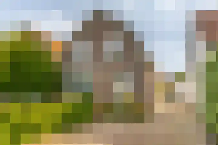 Nieuwestraat 76 Strijen thumbnail 4