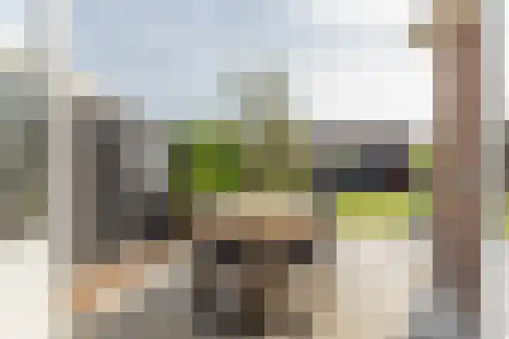 Nieuwestraat 76 Strijen thumbnail 53