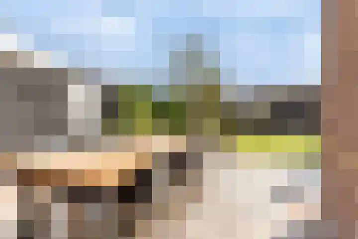 Nieuwestraat 76 Strijen thumbnail 55