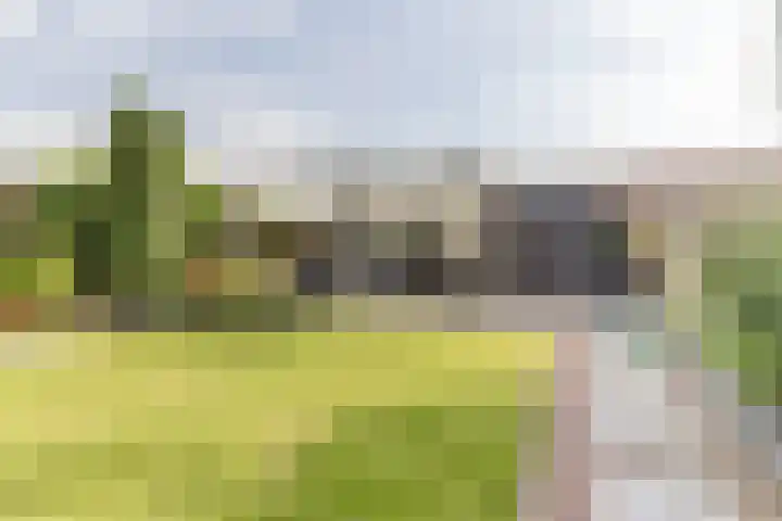 Nieuwestraat 76 Strijen thumbnail 57