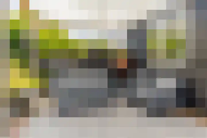 Nieuwestraat 76 Strijen thumbnail 58