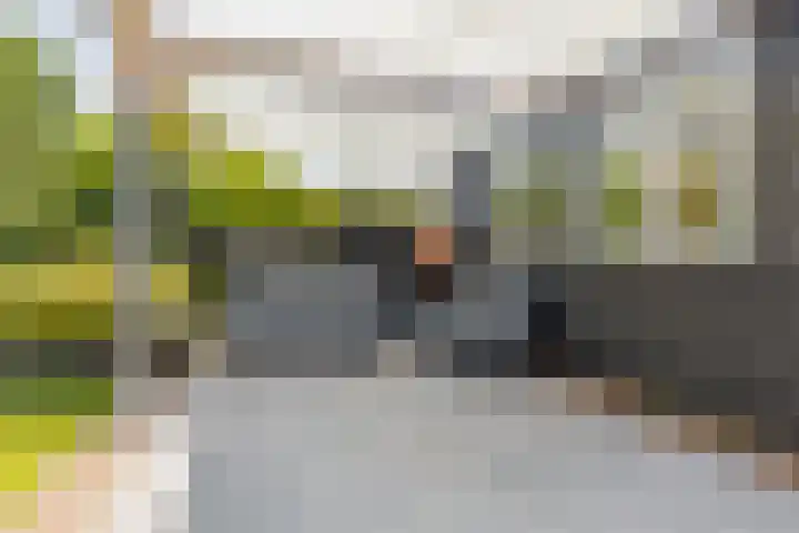 Nieuwestraat 76 Strijen thumbnail 59