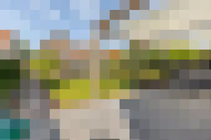 Nieuwestraat 76 Strijen thumbnail 61