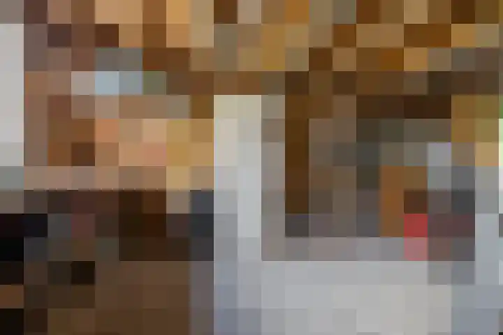 Nieuwestraat 76 Strijen thumbnail 62