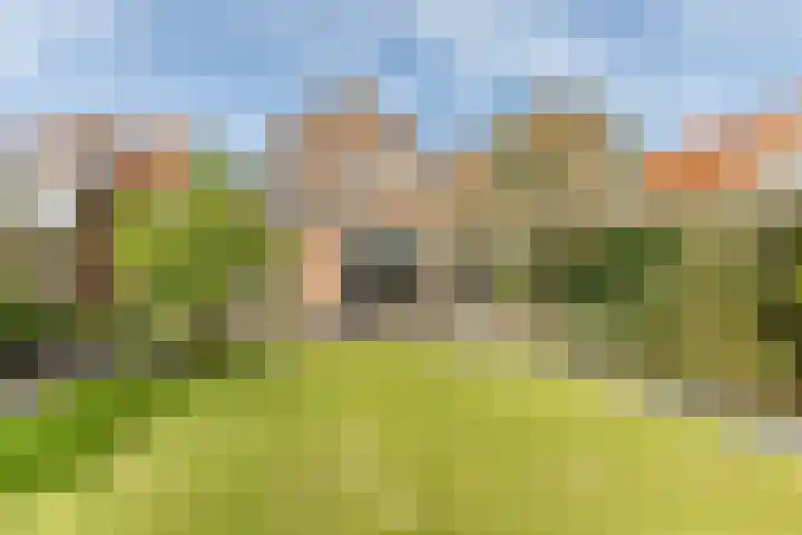 Nieuwestraat 76 Strijen thumbnail 63