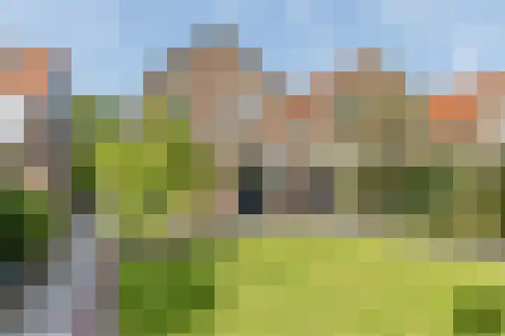 Nieuwestraat 76 Strijen thumbnail 64