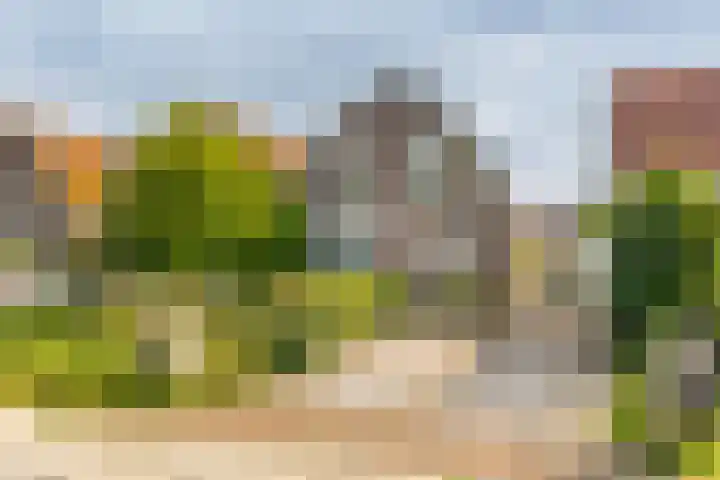 Nieuwestraat 76 Strijen thumbnail 65