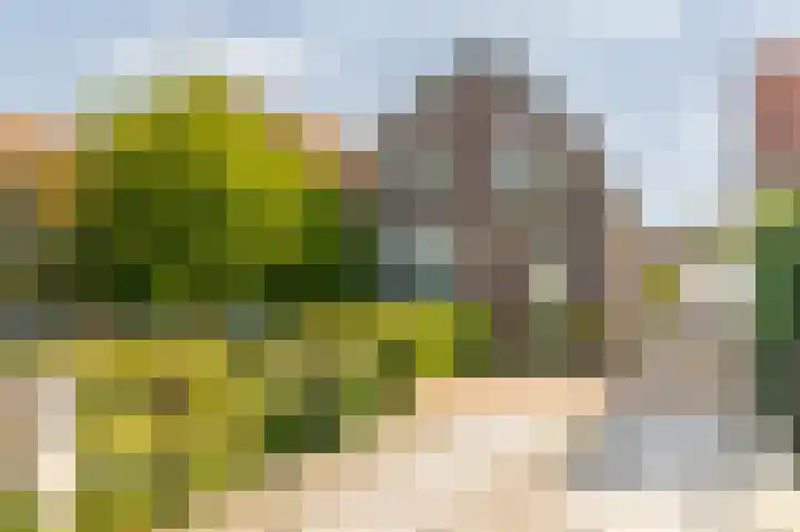 Nieuwestraat 76 Strijen thumbnail 72