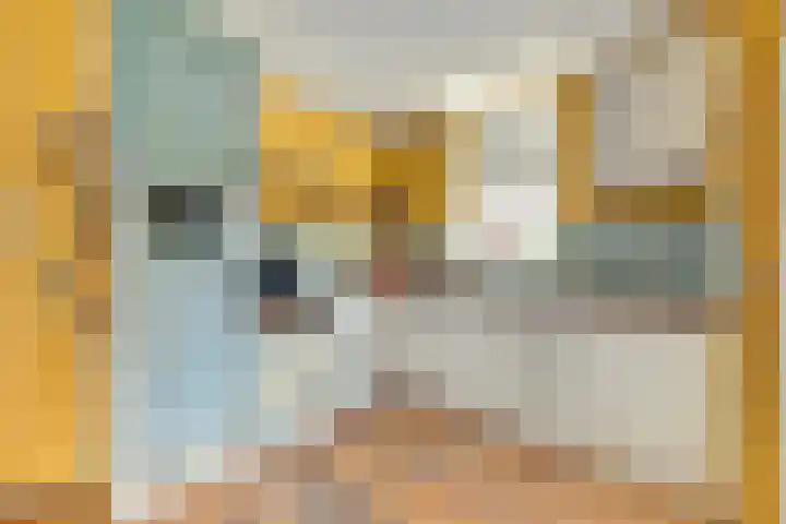 Nieuwestraat 90 Strijen thumbnail 15
