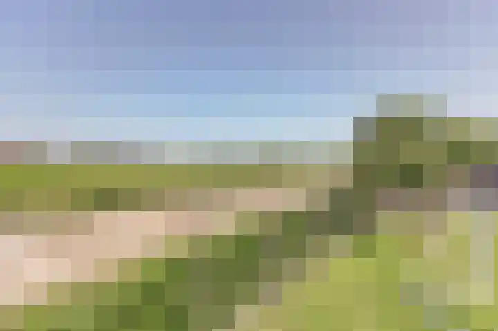 Nieuwestraat 90 Strijen thumbnail 32