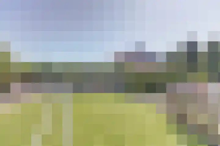 Nieuwestraat 90 Strijen thumbnail 33