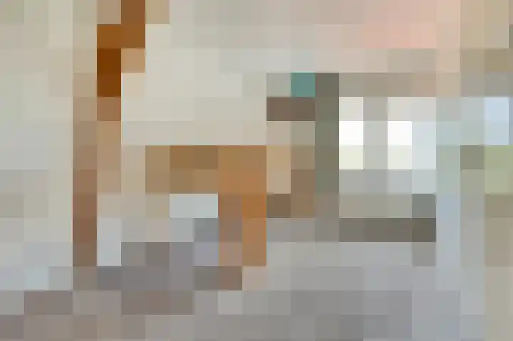 Nieuwestraat 90 Strijen thumbnail 40