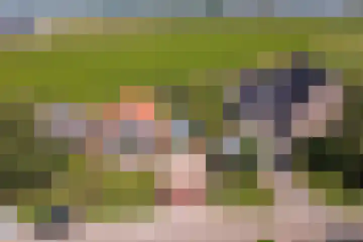 Nieuwestraat 90 Strijen thumbnail 43