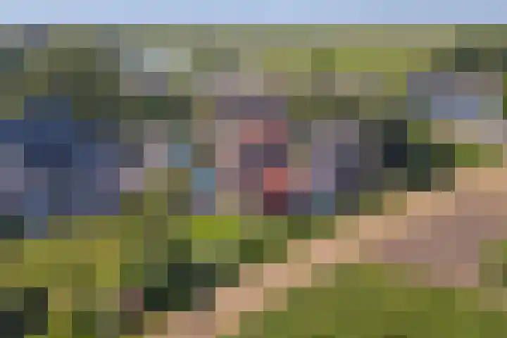 Nieuwestraat 90 Strijen thumbnail 44