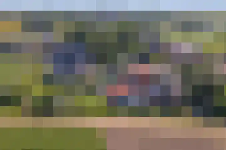 Nieuwestraat 90 Strijen thumbnail 45