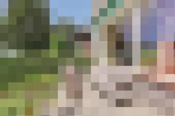 Nieuwestraat 90 Strijen thumbnail 5