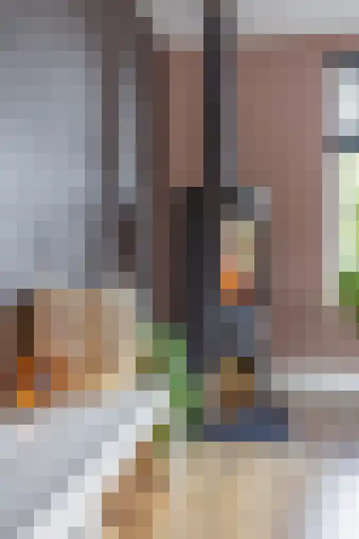 Nieuwestreek 11 Ezinge thumbnail 11
