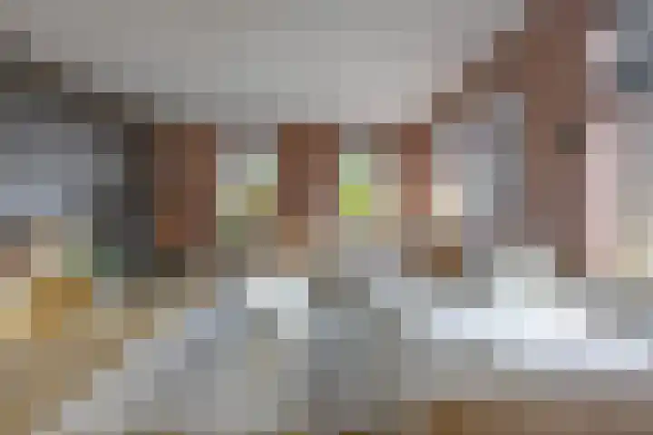 Nieuwestreek 11 Ezinge thumbnail 12