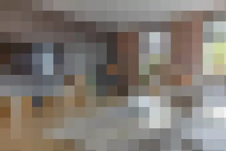 Nieuwestreek 11 Ezinge thumbnail 13