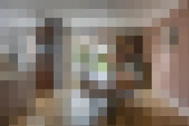 Nieuwestreek 11 Ezinge thumbnail 15