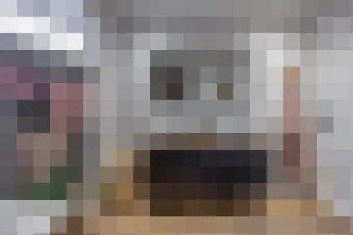 Nieuwestreek 11 Ezinge thumbnail 26