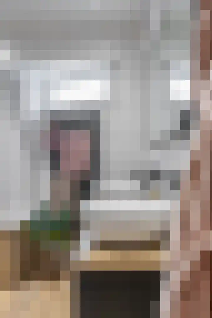 Nieuwestreek 11 Ezinge thumbnail 27