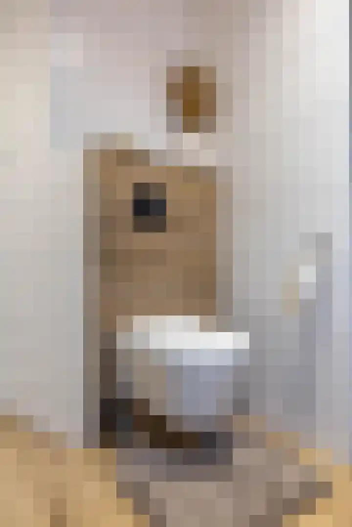 Nieuwestreek 11 Ezinge thumbnail 30
