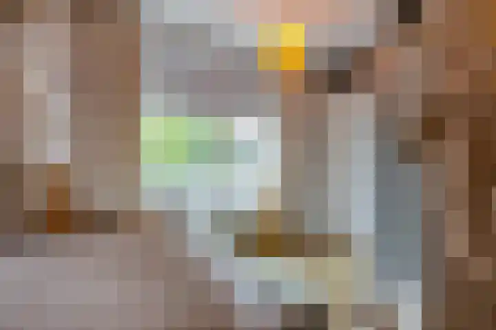 Nieuwestreek 11 Ezinge thumbnail 32
