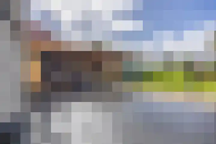 Nieuwestreek 11 Ezinge thumbnail 33