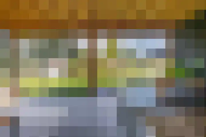 Nieuwestreek 11 Ezinge thumbnail 35
