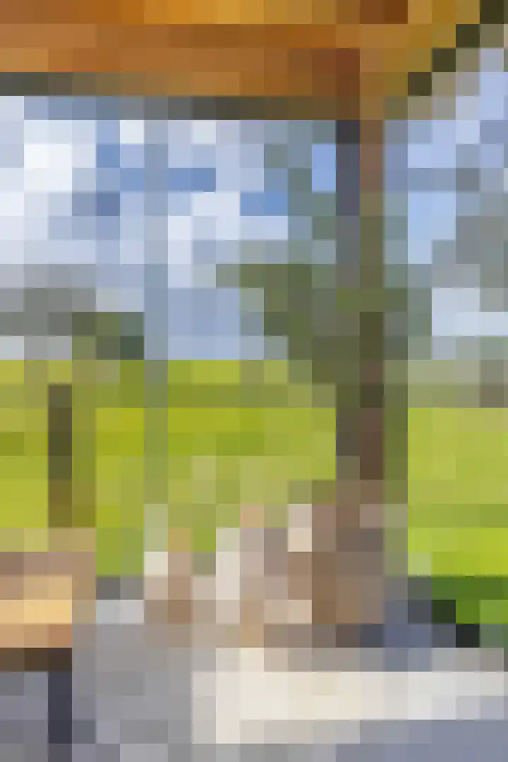 Nieuwestreek 11 Ezinge thumbnail 37