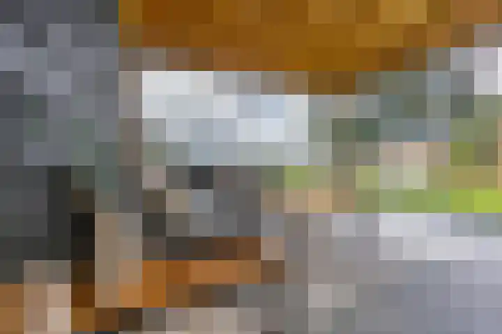 Nieuwestreek 11 Ezinge thumbnail 38