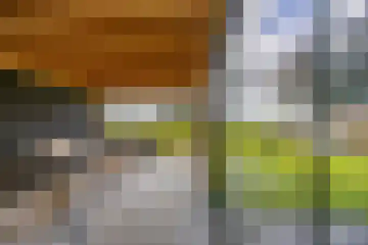 Nieuwestreek 11 Ezinge thumbnail 39