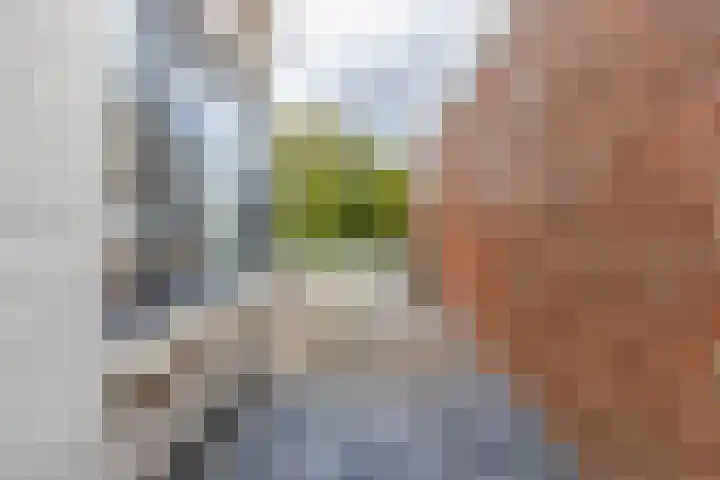 Nieuwestreek 11 Ezinge thumbnail 43