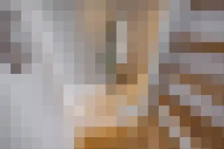 Nieuwestreek 11 Ezinge thumbnail 44