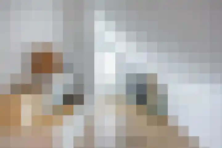 Nieuwestreek 11 Ezinge thumbnail 49
