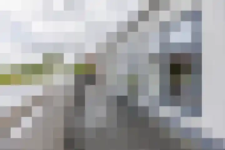 Nieuwestreek 11 Ezinge thumbnail 51