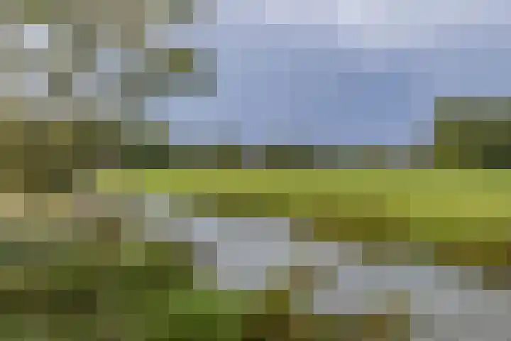 Nieuwestreek 11 Ezinge thumbnail 52