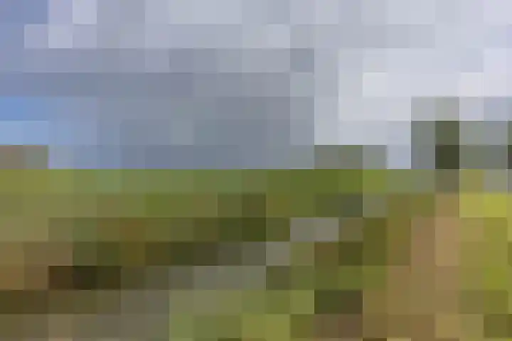 Nieuwestreek 11 Ezinge thumbnail 53