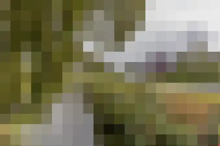 Nieuwestreek 11 Ezinge thumbnail 54