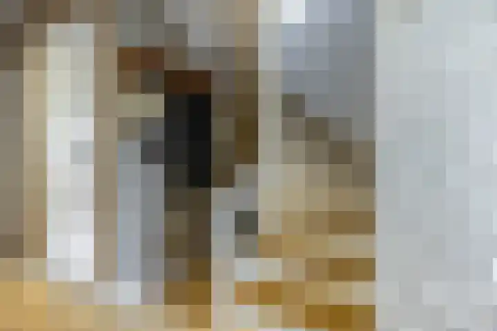 Nieuwestreek 11 Ezinge thumbnail 7