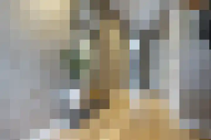 Nieuwestreek 11 Ezinge thumbnail 8