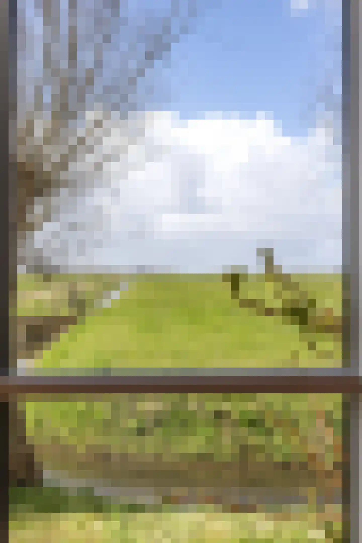 Nieuwestreek 51 Ezinge thumbnail 20